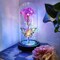 Light Up Rose in A Glass with Butterfly Birthday Gift for Woman Mothers Day Flowers Gift for Mom Rose Flower Gift for Her Anniversary Gift Preserved Flowers